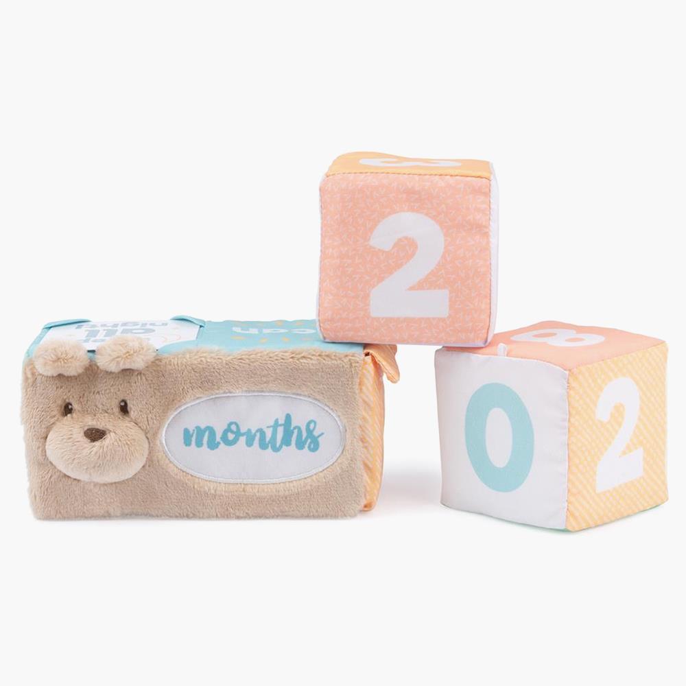 The Baby’s Milestones And Moments Soft Block Set  |   Plush & Animated Toys Plush & Animated Toys Plush & Animated Toys