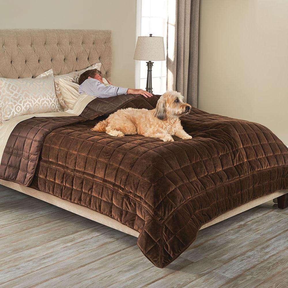 The Bed Protecting Pet Cover (Queen)  |   Pets HOME Pets