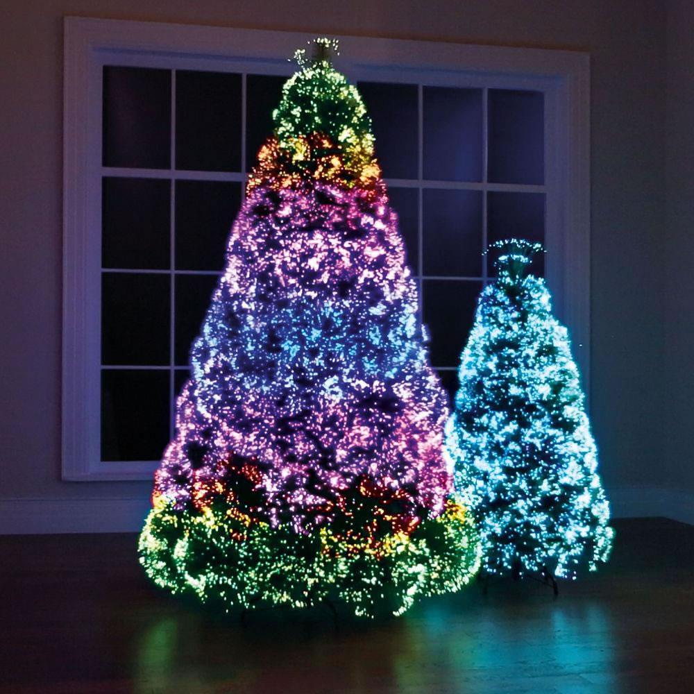 The Northern Lights Christmas Trees  |   Christmas Trees HOLIDAY