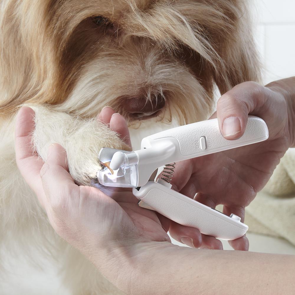 The Safer LED Pet Nail Clipper  |   Pets HOME Pets