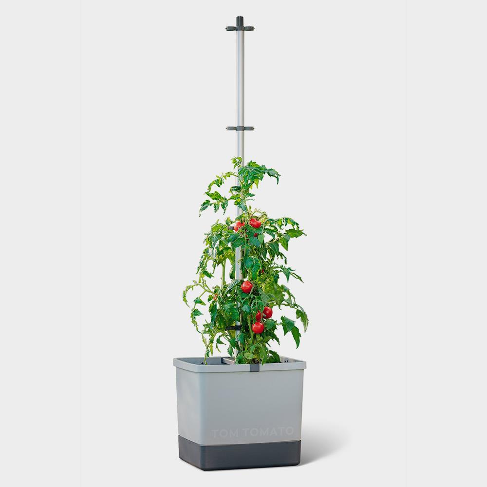 The Self Irrigating Tomato Planter  |   Kitchen & Entertaining HOME Kitchen & Entertaining