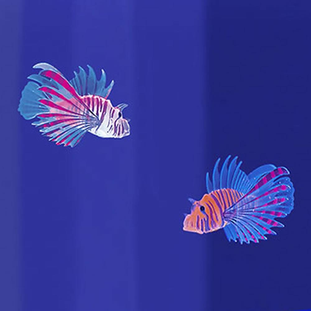 The Two Pack Of Lionfish  |   Gadgets ELECTRONICS Gadgets