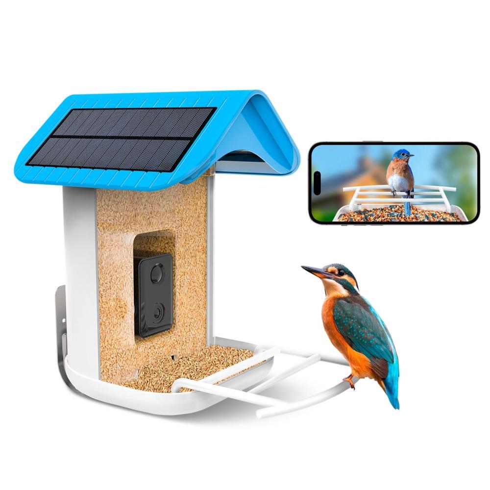 The Video Streaming Solar Bird Feeder  |   Outdoor Fun Outdoor Fun Outdoor Fun