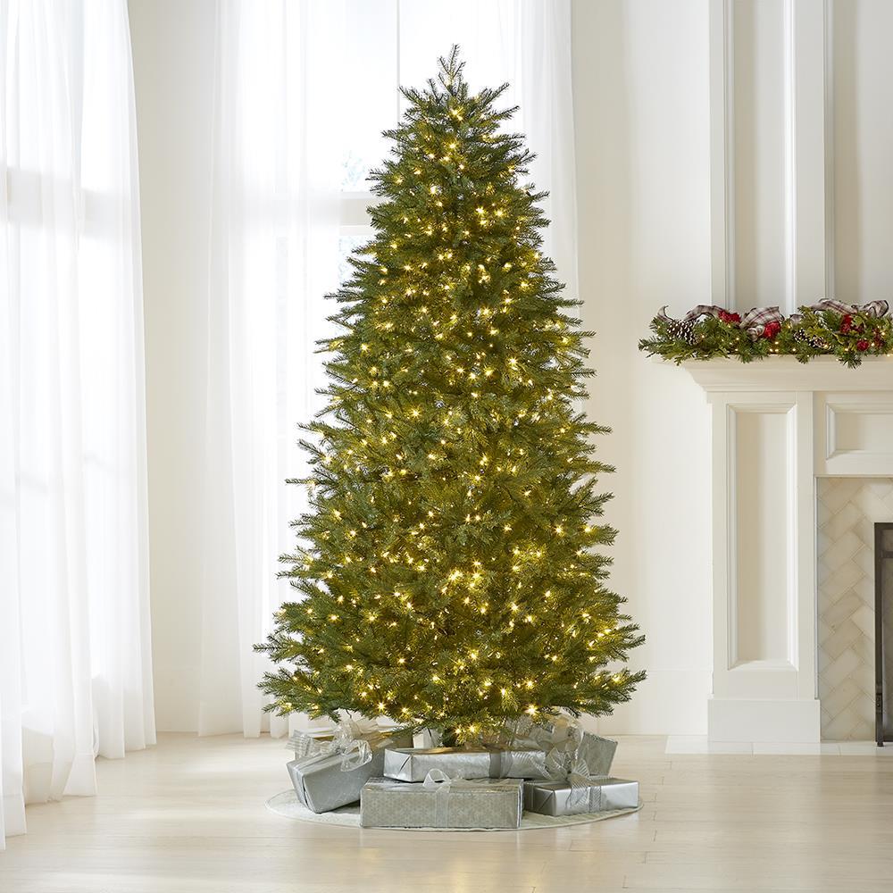 The World’s Best Prelit Concolor Fir  |   Christmas Trees HOLIDAY