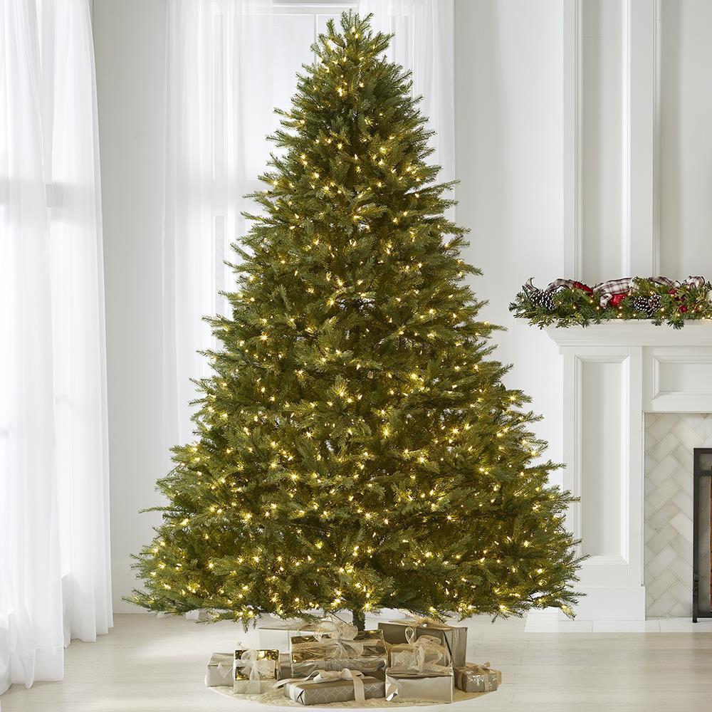 The World’s Best Prelit Concolor Fir  |   Christmas Trees HOLIDAY