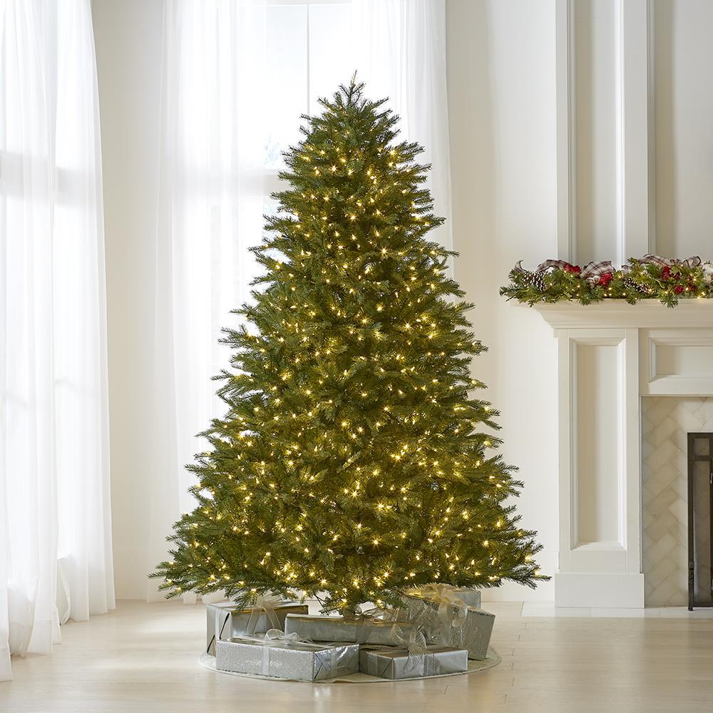 The World’s Best Prelit Concolor Fir  |   Christmas Trees HOLIDAY