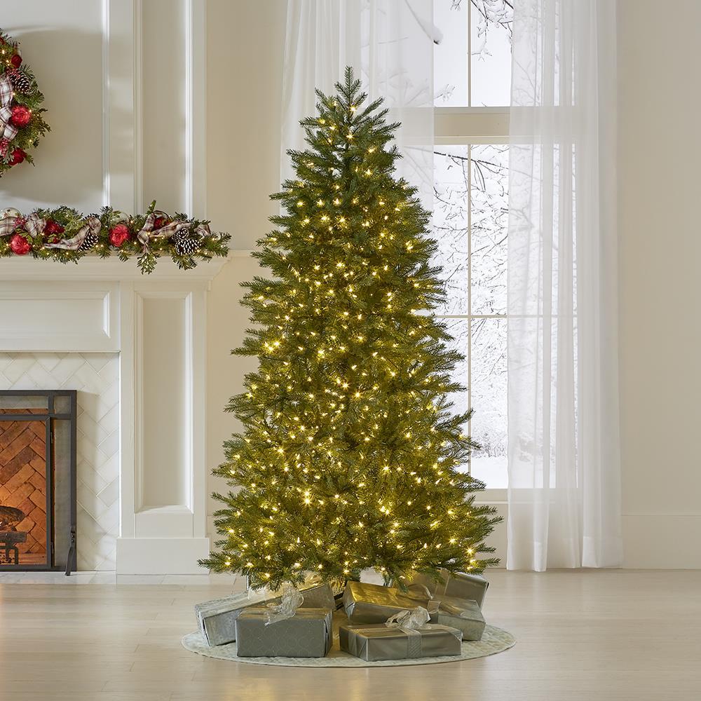 The World’s Best Prelit Concolor Fir  |   Christmas Trees HOLIDAY