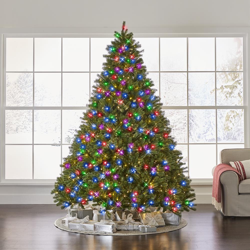 The World’s Best Prelit Douglas Fir  |   Christmas Trees HOLIDAY