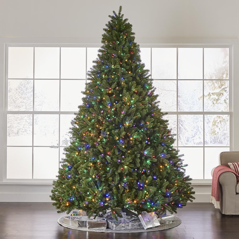 The World’s Best Prelit Douglas Fir  |   Christmas Trees HOLIDAY