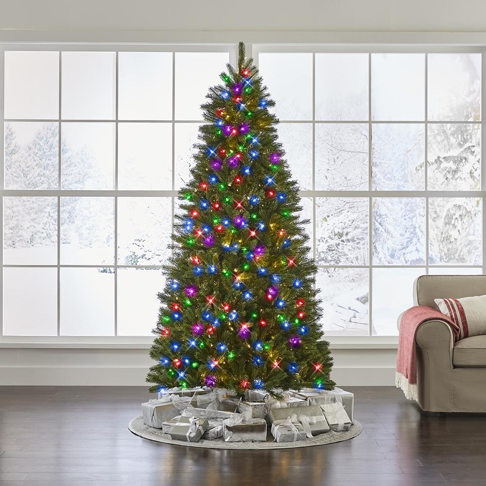 The World’s Best Prelit Douglas Fir  |   Christmas Trees HOLIDAY