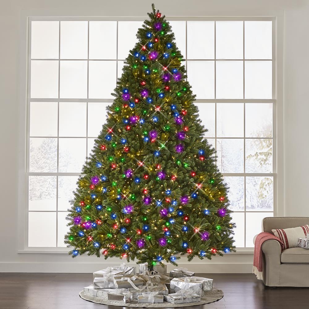 The World’s Best Prelit Douglas Fir  |   Christmas Trees HOLIDAY