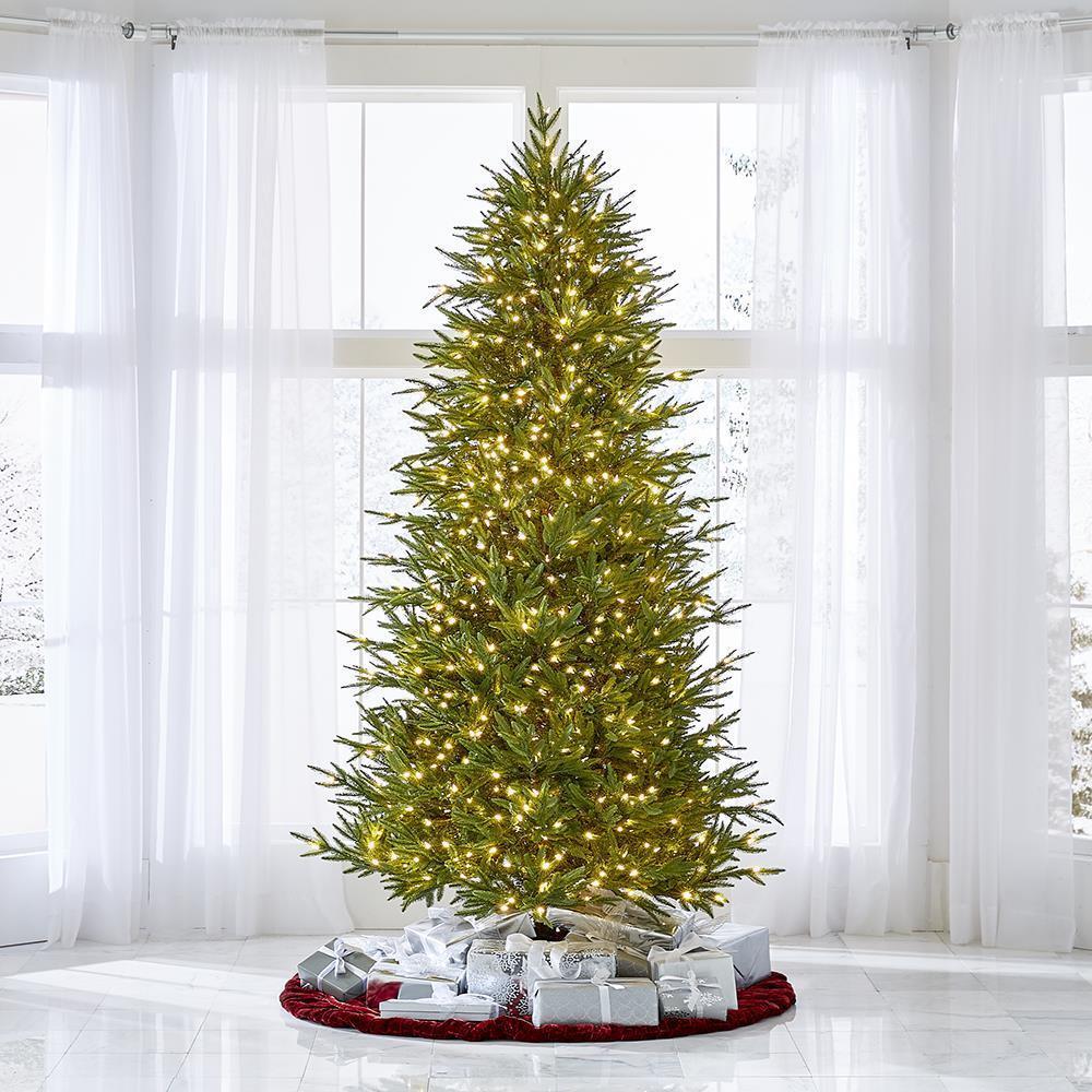 The World’s Best Prelit Fraser Fir  |   Christmas Trees HOLIDAY