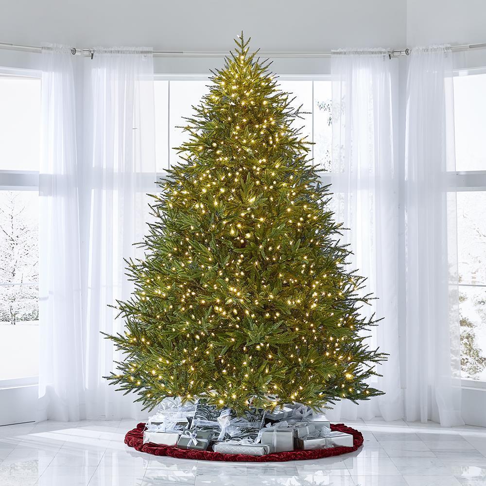 The World’s Best Prelit Fraser Fir  |   Christmas Trees HOLIDAY