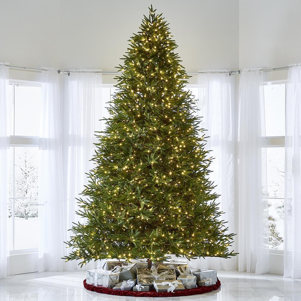 The World’s Best Prelit Fraser Fir  |   Christmas Trees HOLIDAY