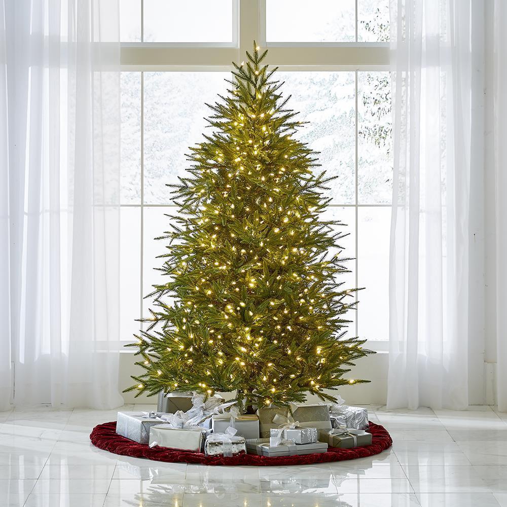 The World’s Best Prelit Fraser Fir  |   Christmas Trees HOLIDAY