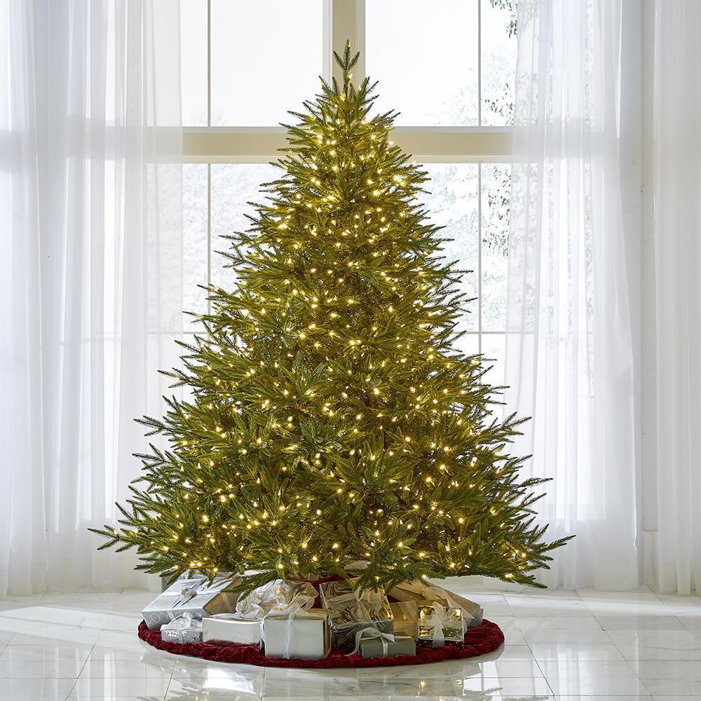 The World’s Best Prelit Fraser Fir  |   Christmas Trees HOLIDAY