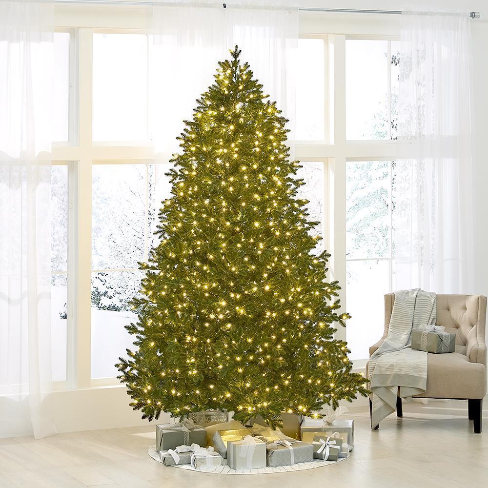 The World’s Best Prelit LED Noble Fir  |   Christmas Trees HOLIDAY