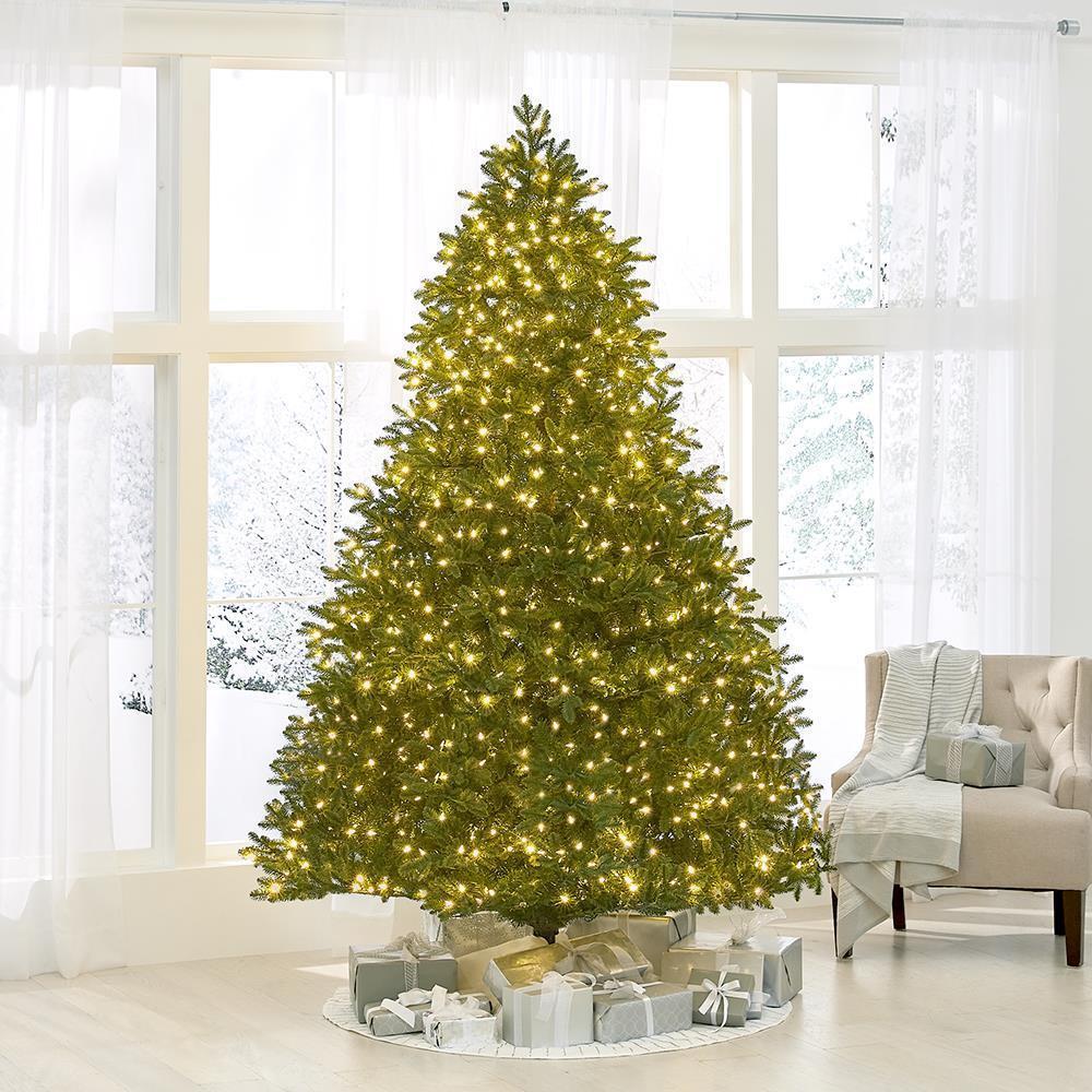 The World’s Best Prelit LED Noble Fir  |   Christmas Trees HOLIDAY