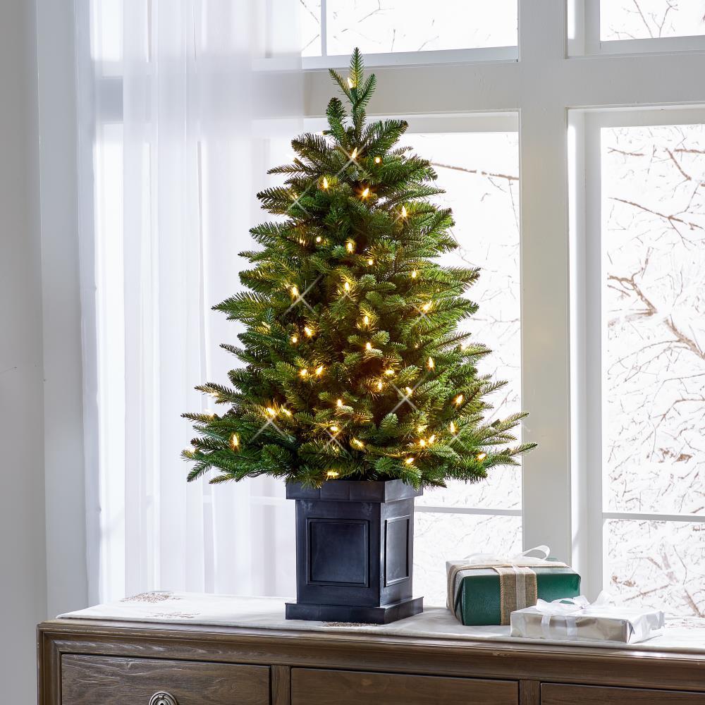 The World’s Best Tabletop Prelit Fraser Fir  |   Christmas Trees HOLIDAY