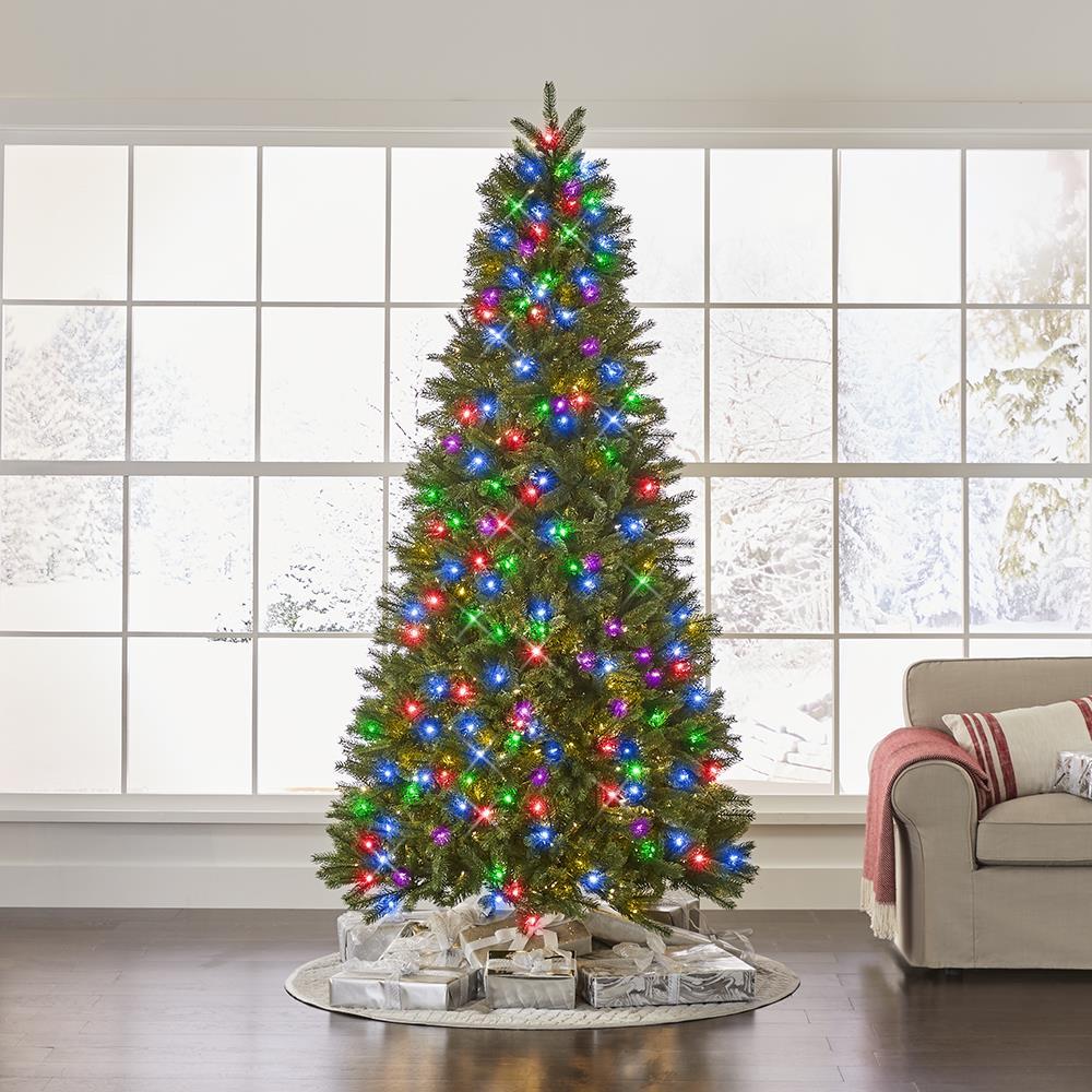 The World’s Best Prelit Douglas Fir  |   Christmas Trees HOLIDAY