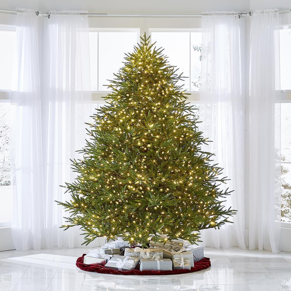 The World’s Best Prelit Fraser Fir  |   Christmas Trees HOLIDAY